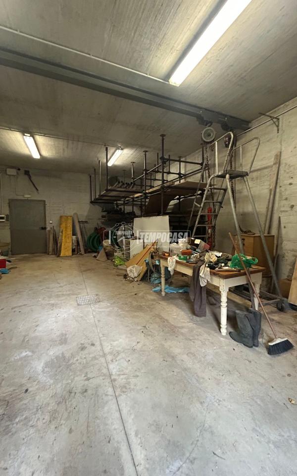 immagine annuncio 9 di 13