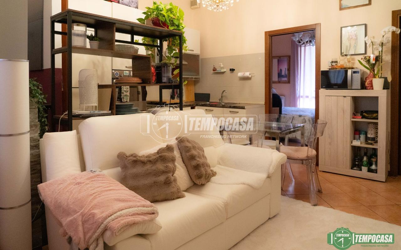 immagine annuncio 1 di 15