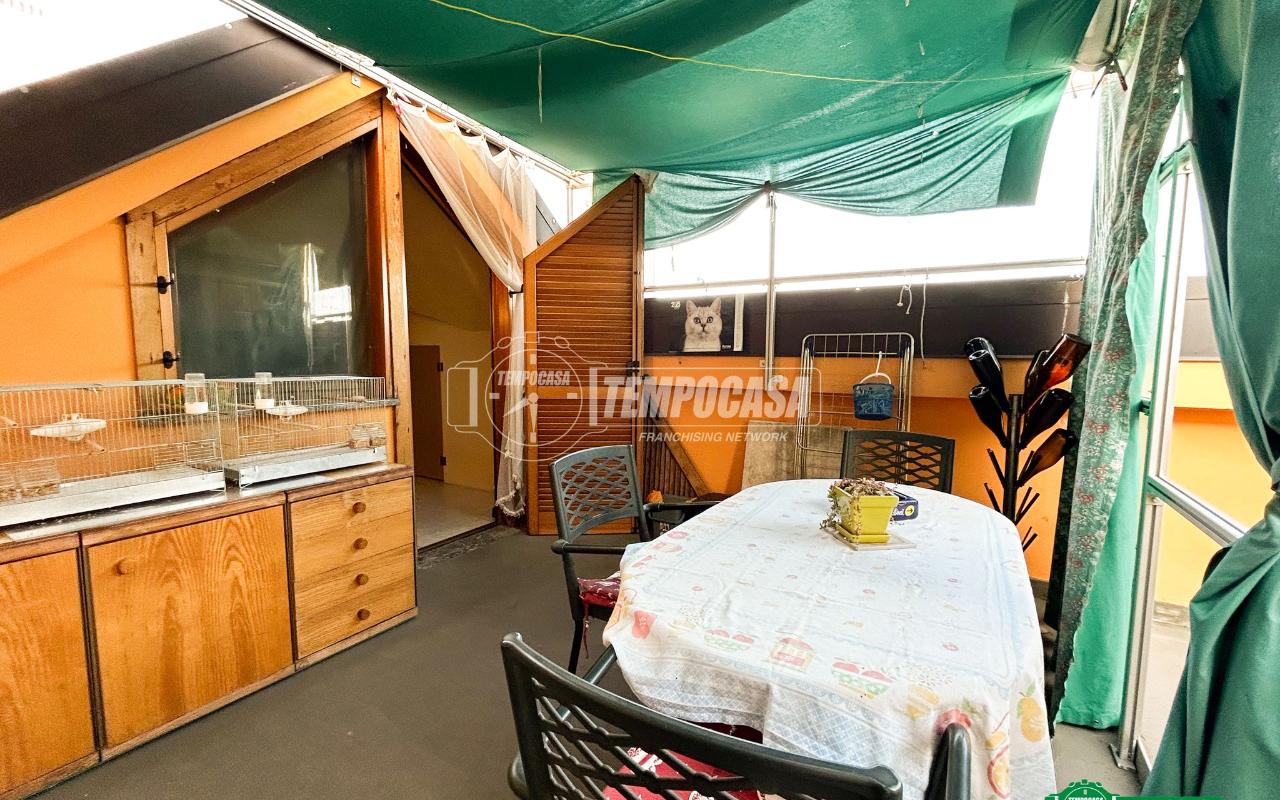 immagine annuncio 11 di 15