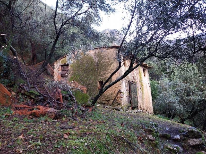 immagine annuncio 1 di 7