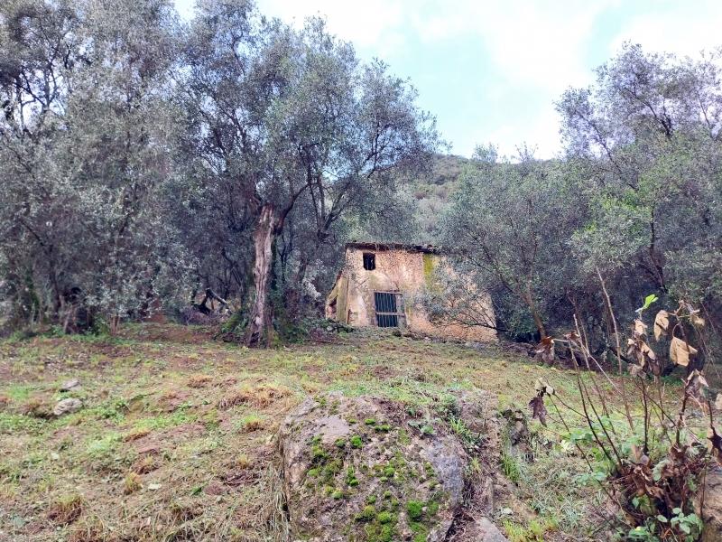 immagine annuncio 4 di 7
