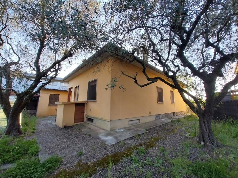 immagine annuncio 3 di 14