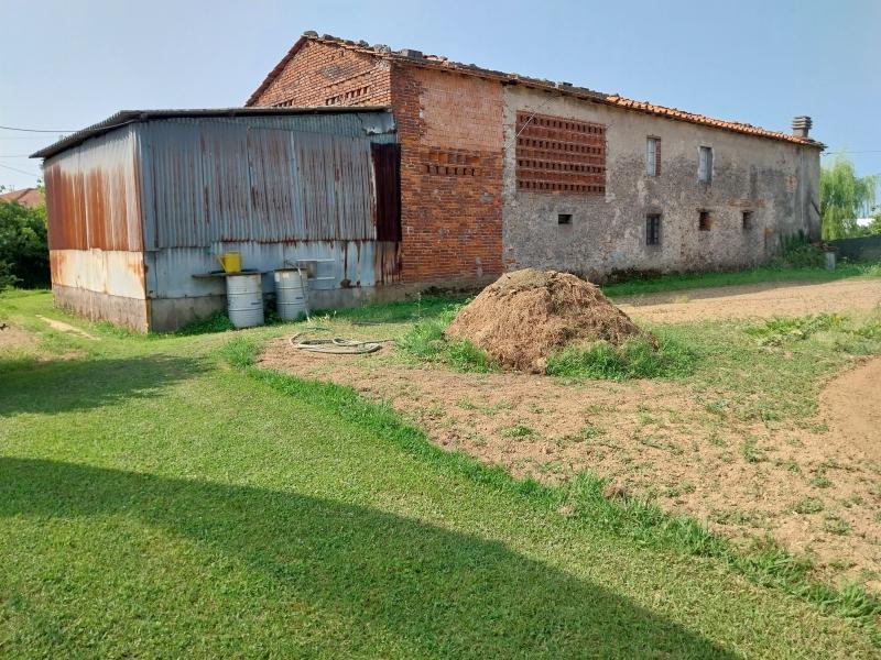 immagine annuncio 1 di 14