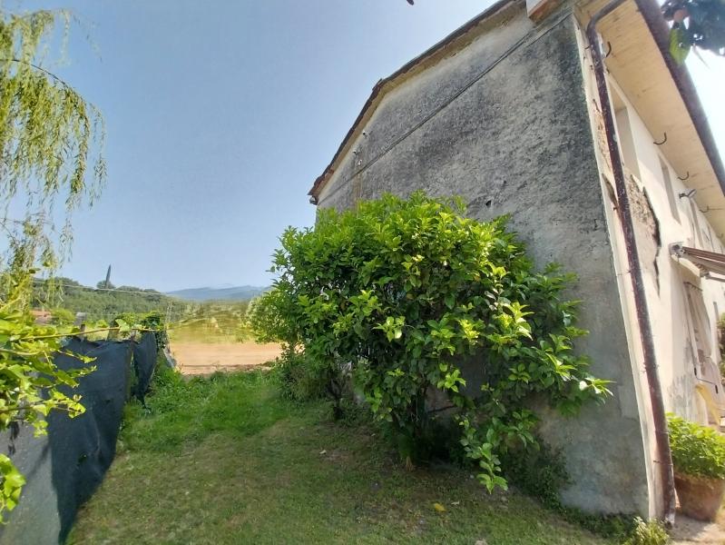 immagine annuncio 2 di 14