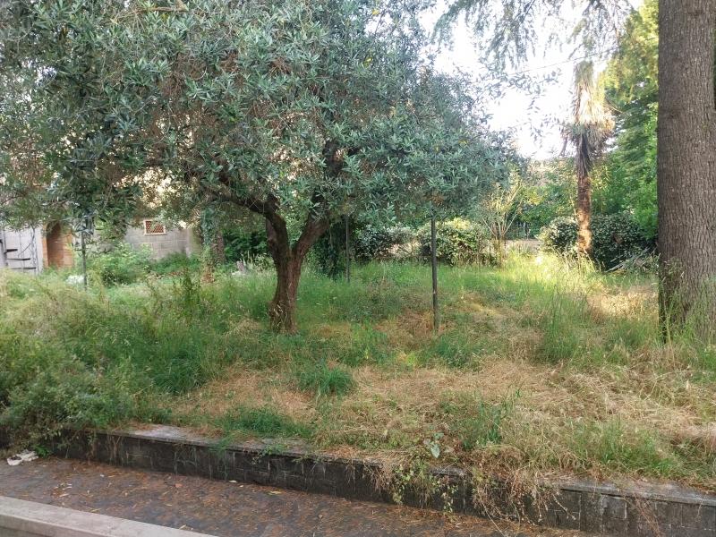 immagine annuncio 11 di 14