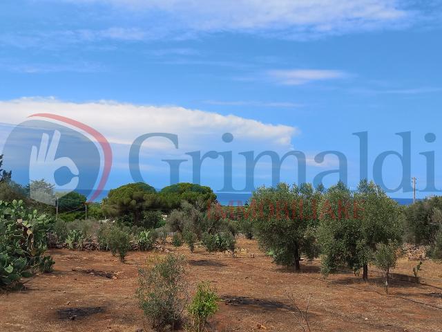 Terreno agricolo in Sp 91 50, Ugento - Foto 1