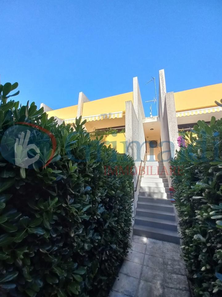 immagine annuncio 1 di 14