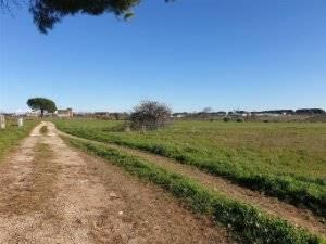 Terreno agricolo in Via dei Cinque Archi, Aprilia - Foto 1