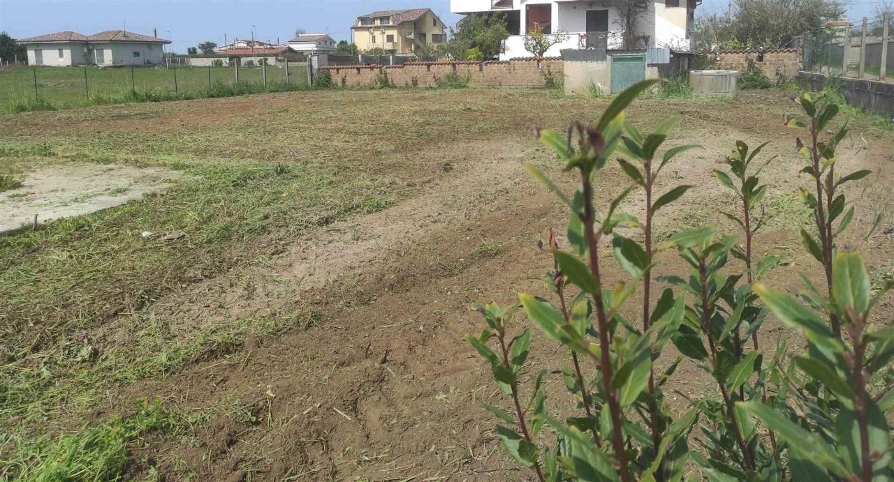 immagine annuncio 7 di 11