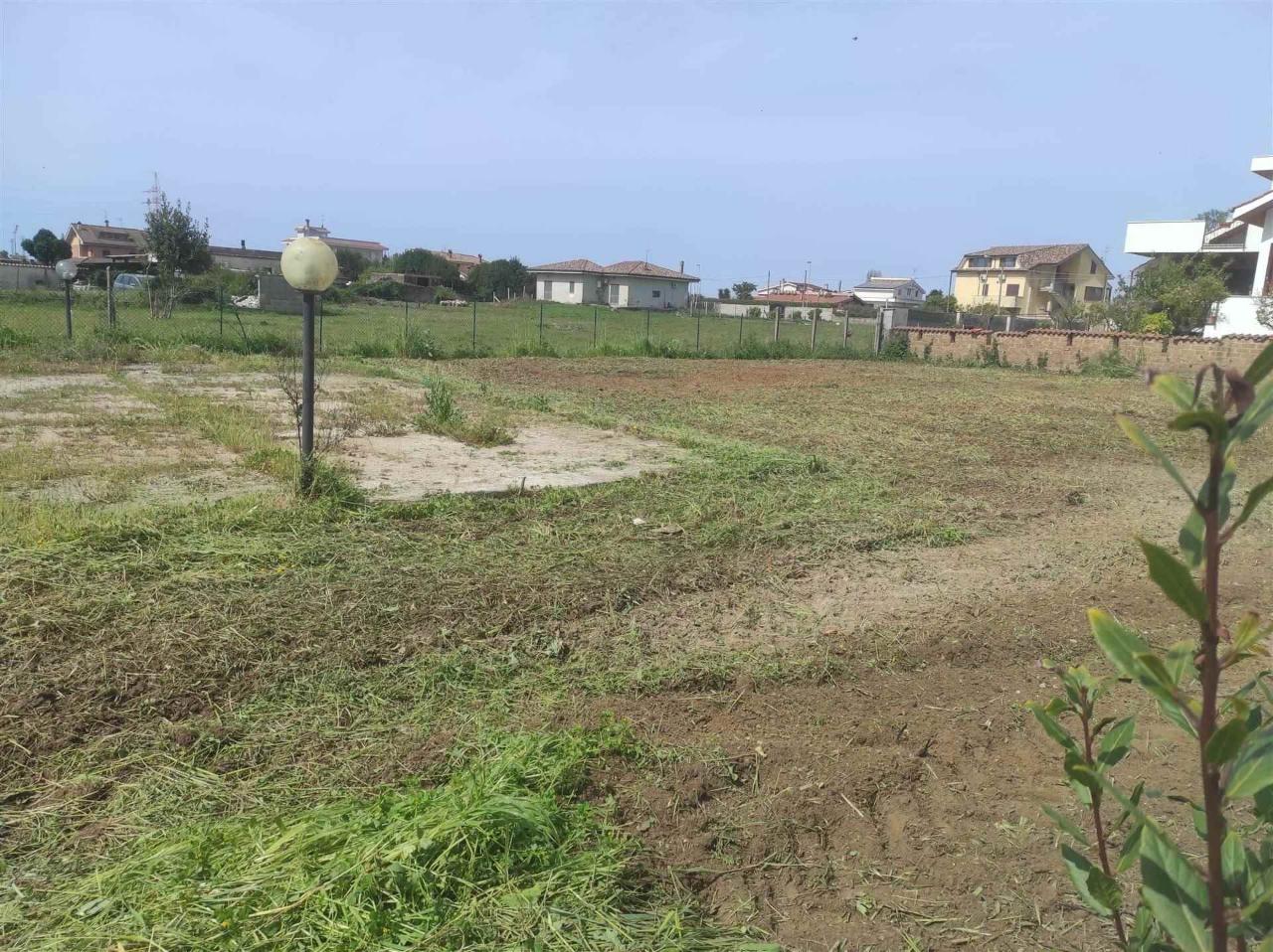 immagine annuncio 8 di 11
