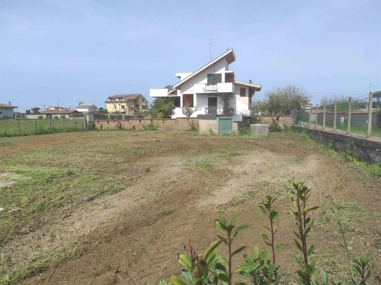 immagine annuncio 3 di 11