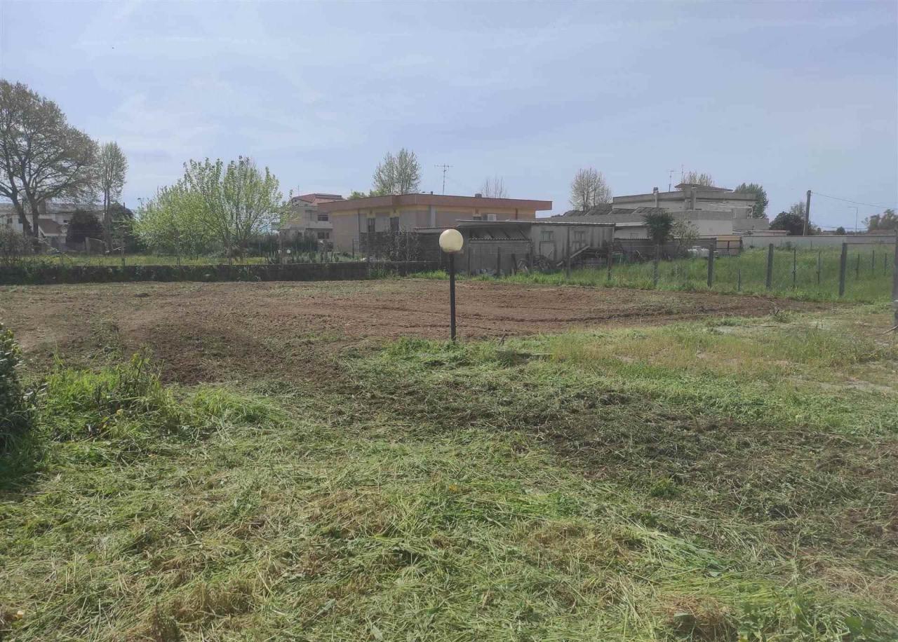 immagine annuncio 10 di 11