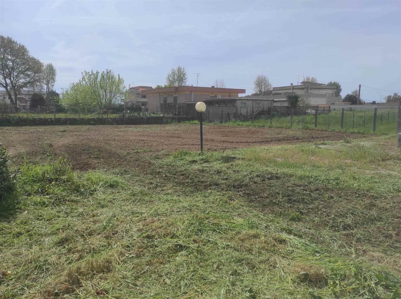immagine annuncio 4 di 11