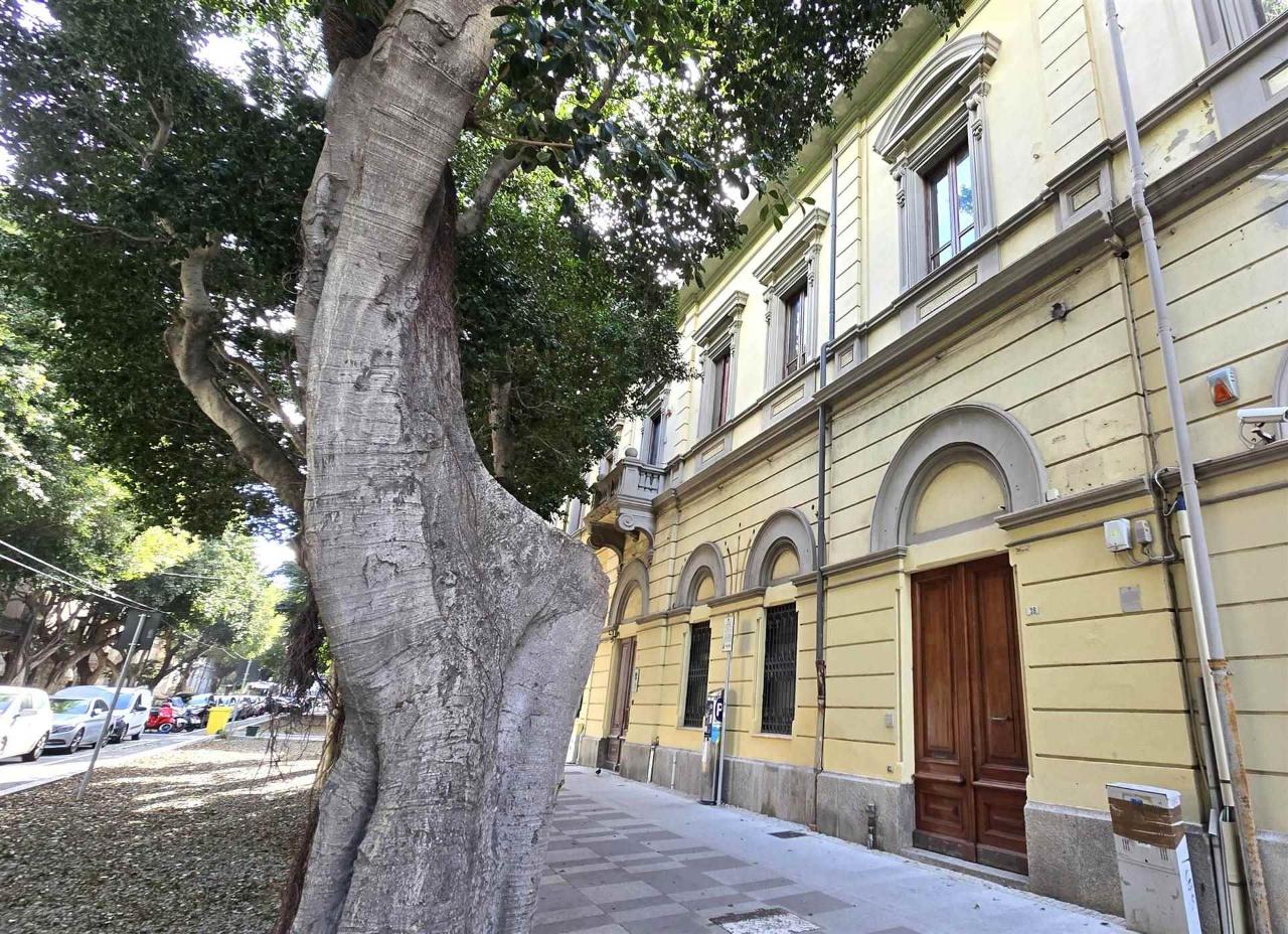 Negozio in Viale Trieste, Cagliari, {3} - Foto 1