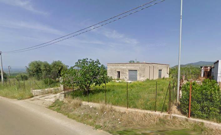 Capannone in , San Nicandro Garganico, {3} - Foto 1