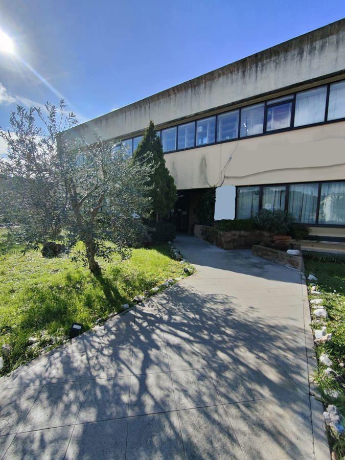 Capannone in Via J.G. Mendel 1, Castelfiorentino, {3} - Foto 2