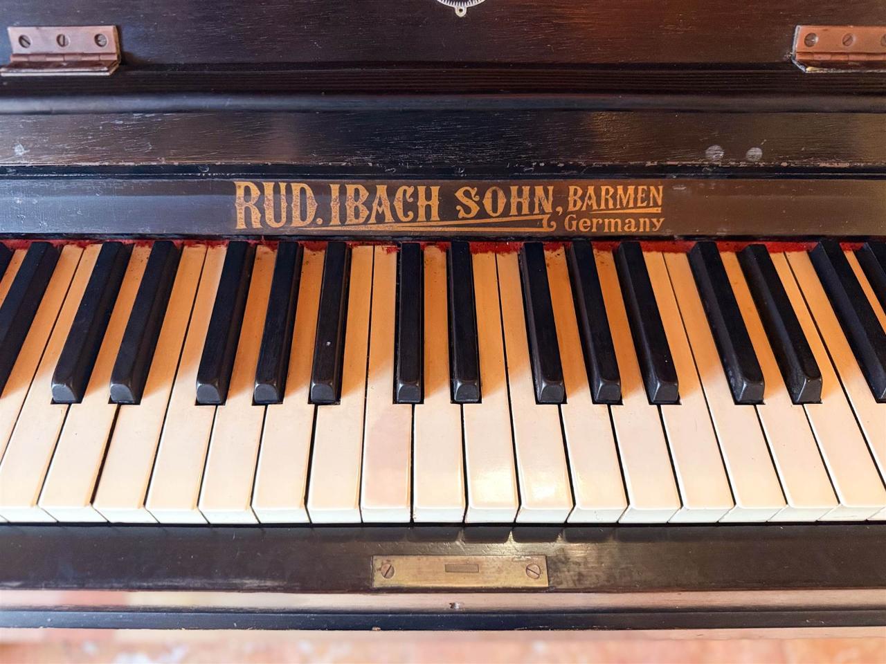 immagine annuncio 10 di 15