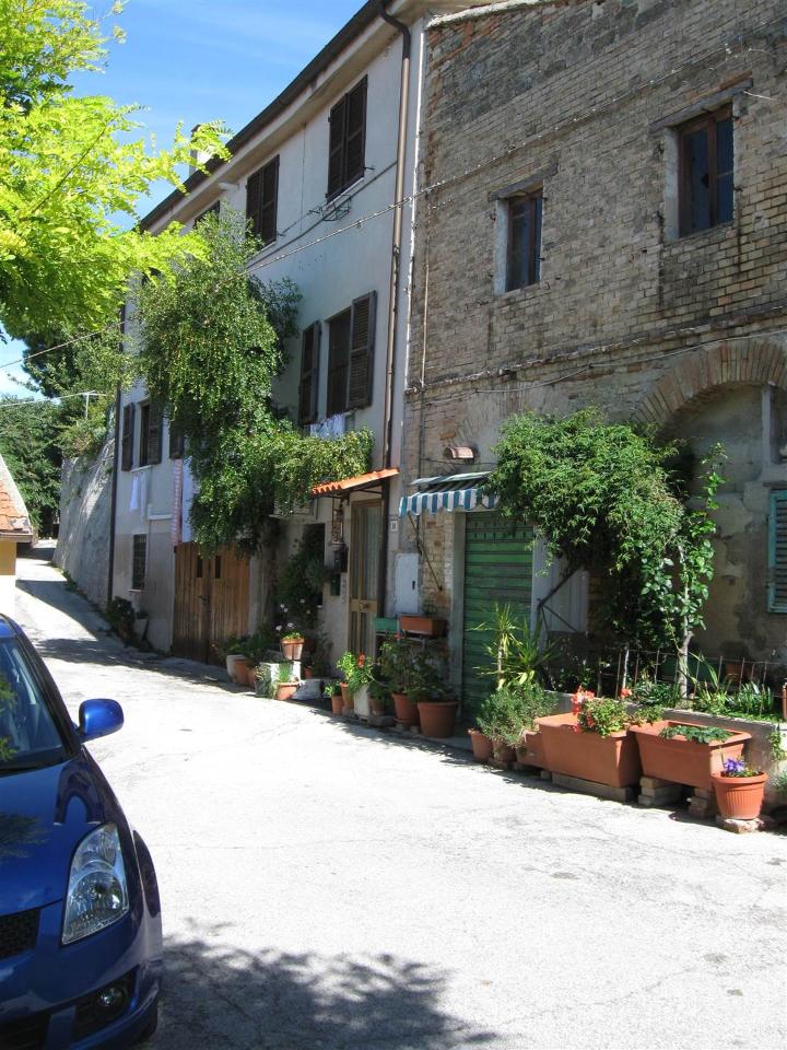 immagine annuncio 1 di 7