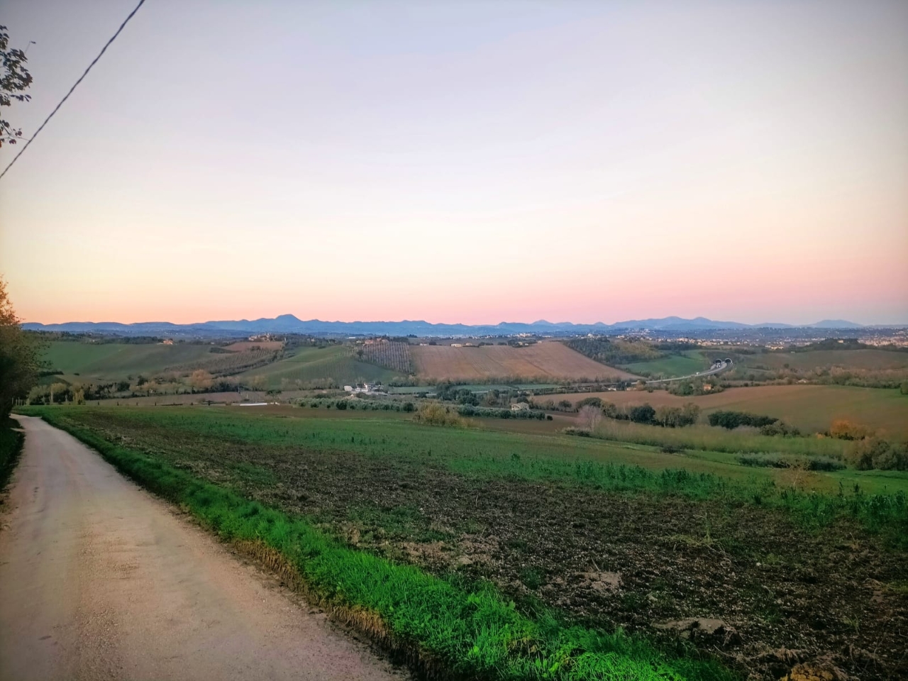 immagine annuncio 4 di 7