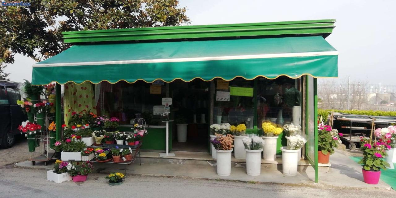 Piante e fiori in vendita a Falconara Marittima