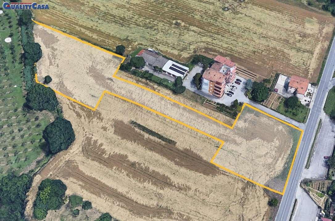 immagine annuncio 1 di 4
