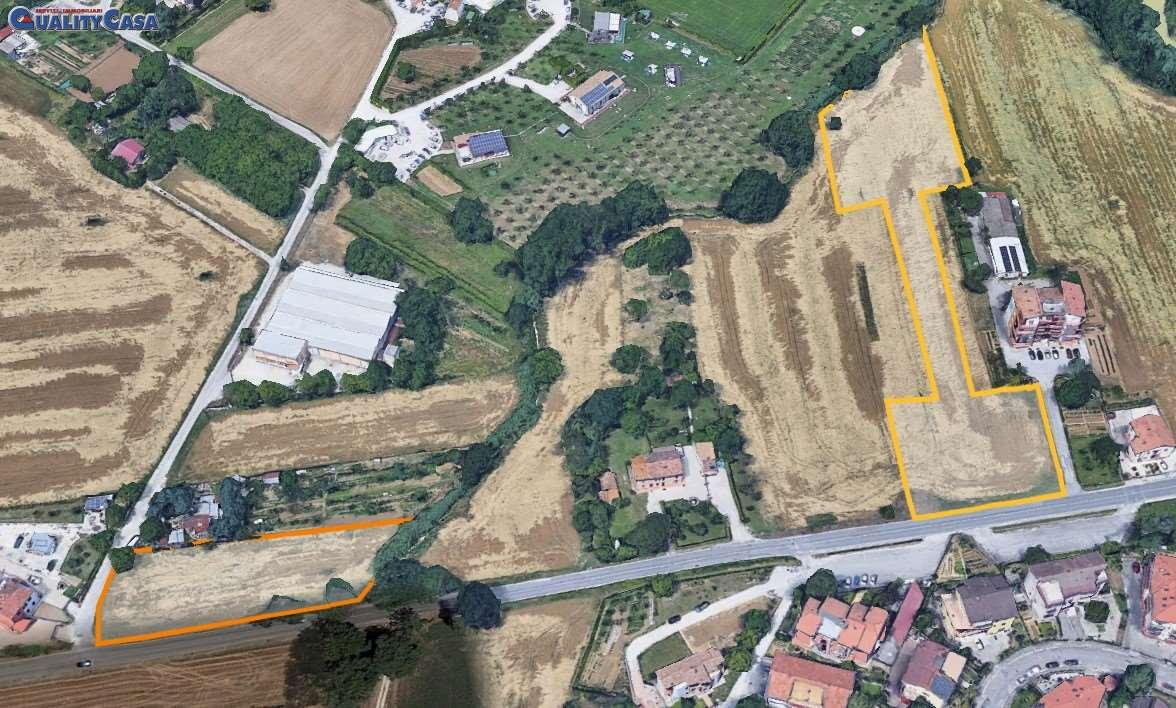 immagine annuncio 2 di 4