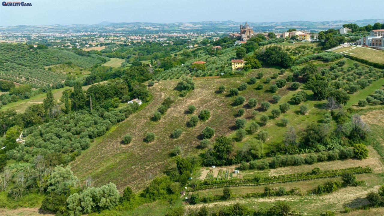 immagine annuncio 7 di 12
