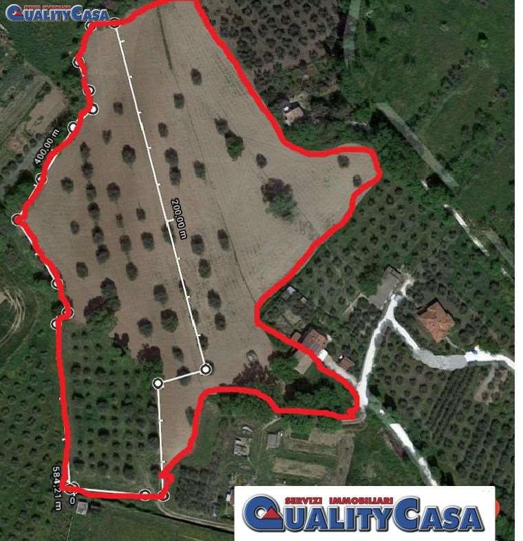immagine annuncio 11 di 12