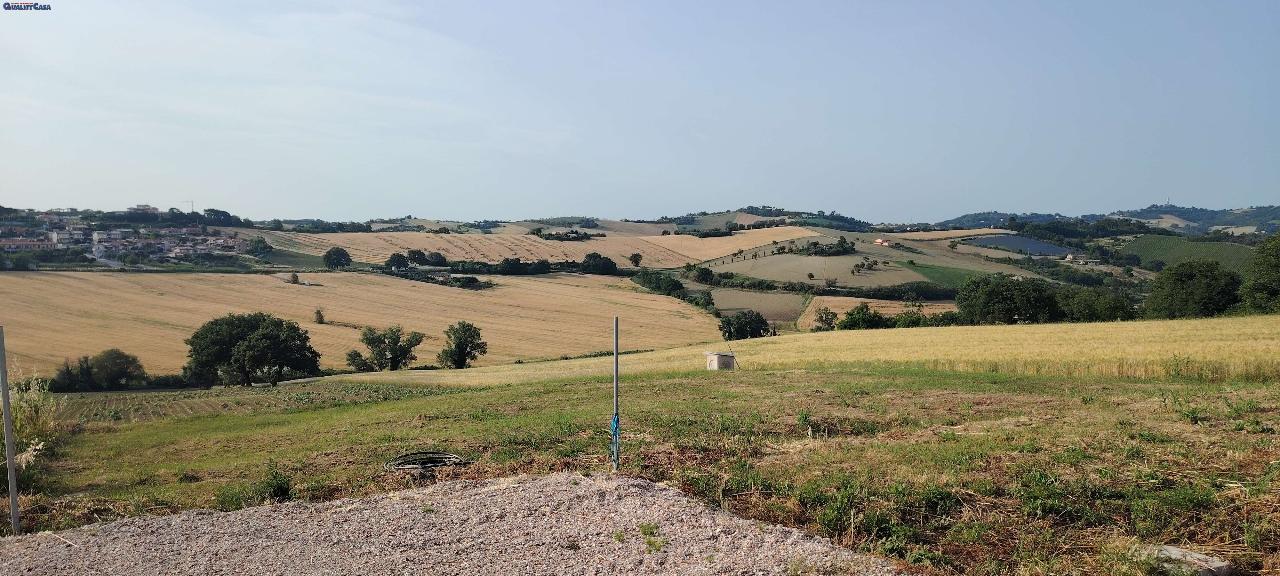 immagine annuncio 1 di 2