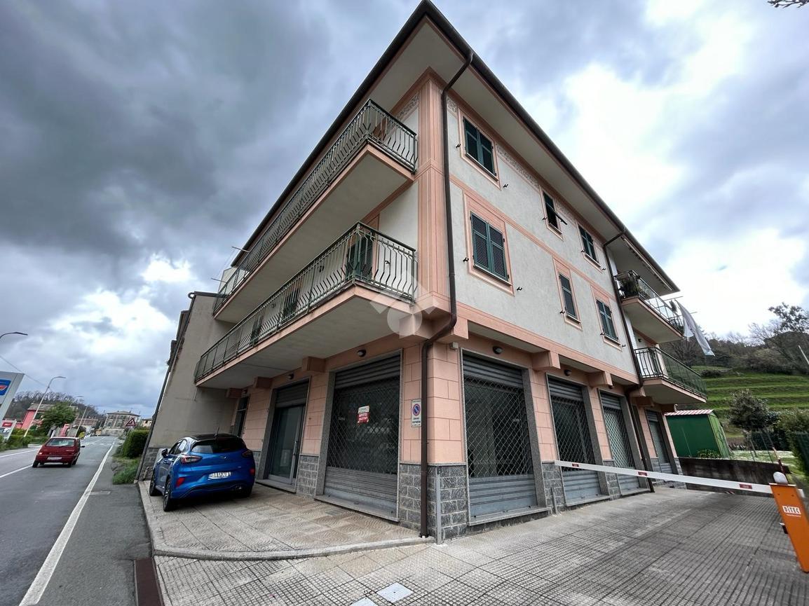 Negozio in Via Pian del Mercato, Cicagna, {3} - Foto 1
