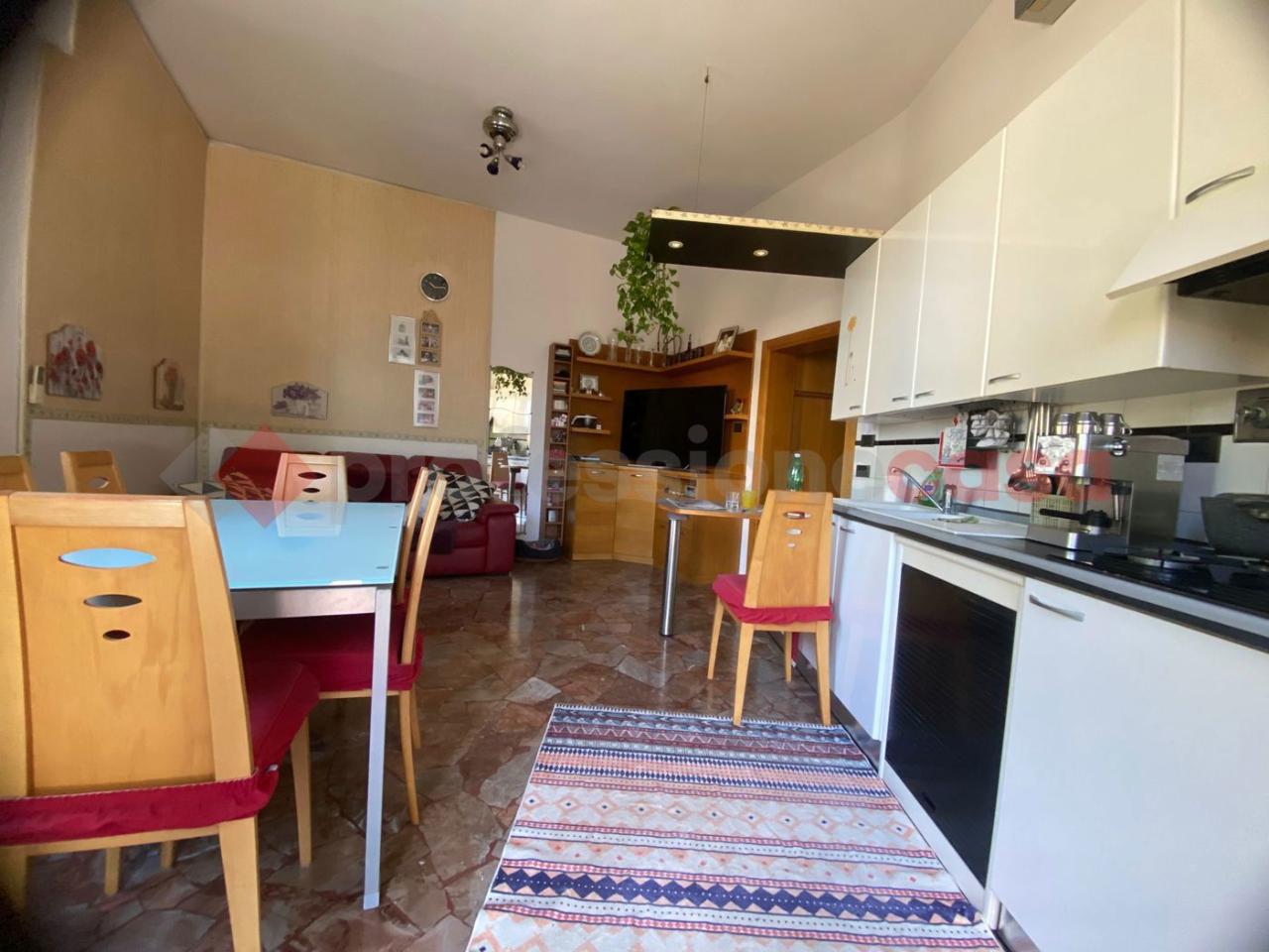 immagine annuncio 2 di 12