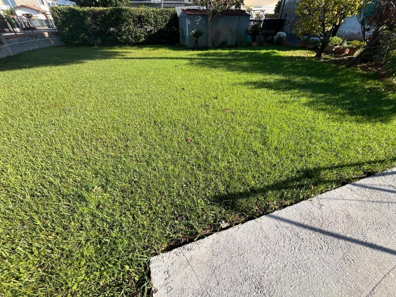 casa indipendente in vendita a Massa