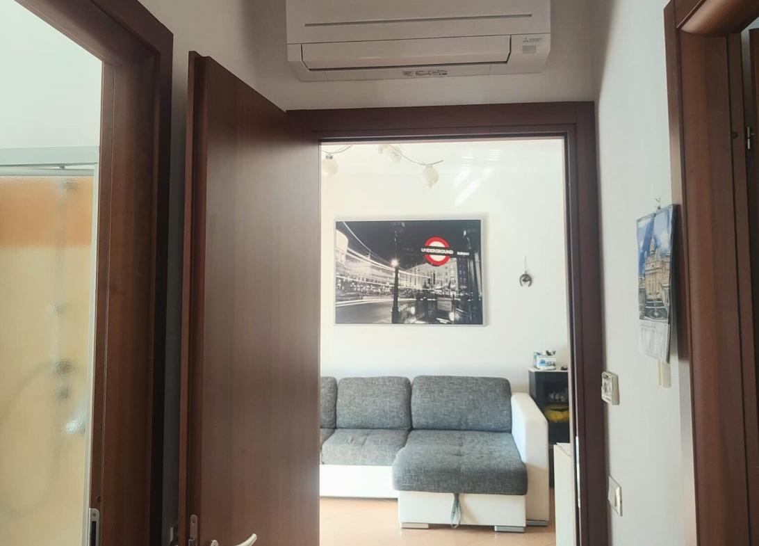 immagine annuncio 3 di 13