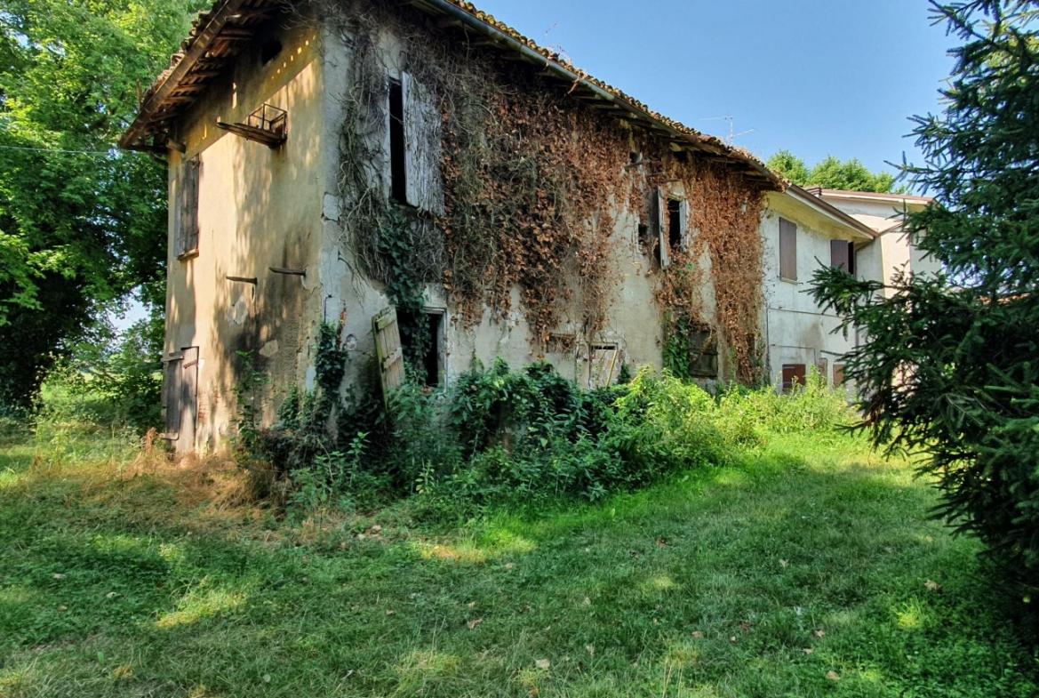 immagine annuncio 1 di 4