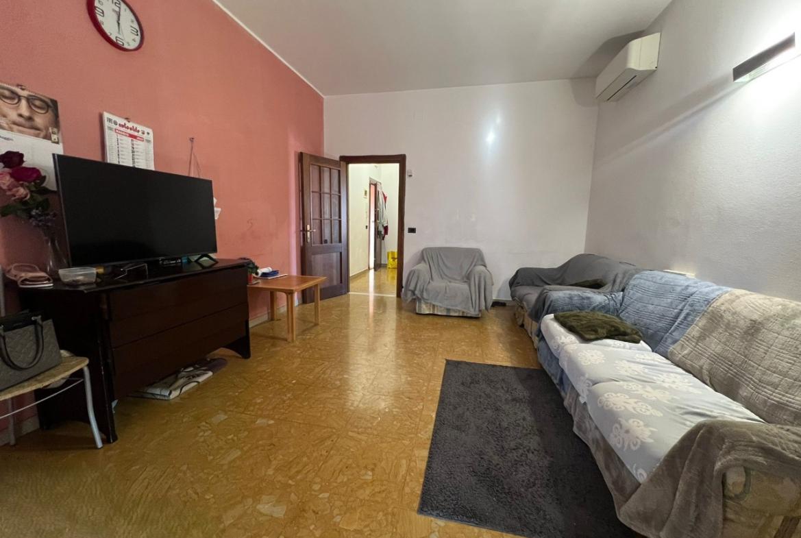 immagine annuncio 1 di 13