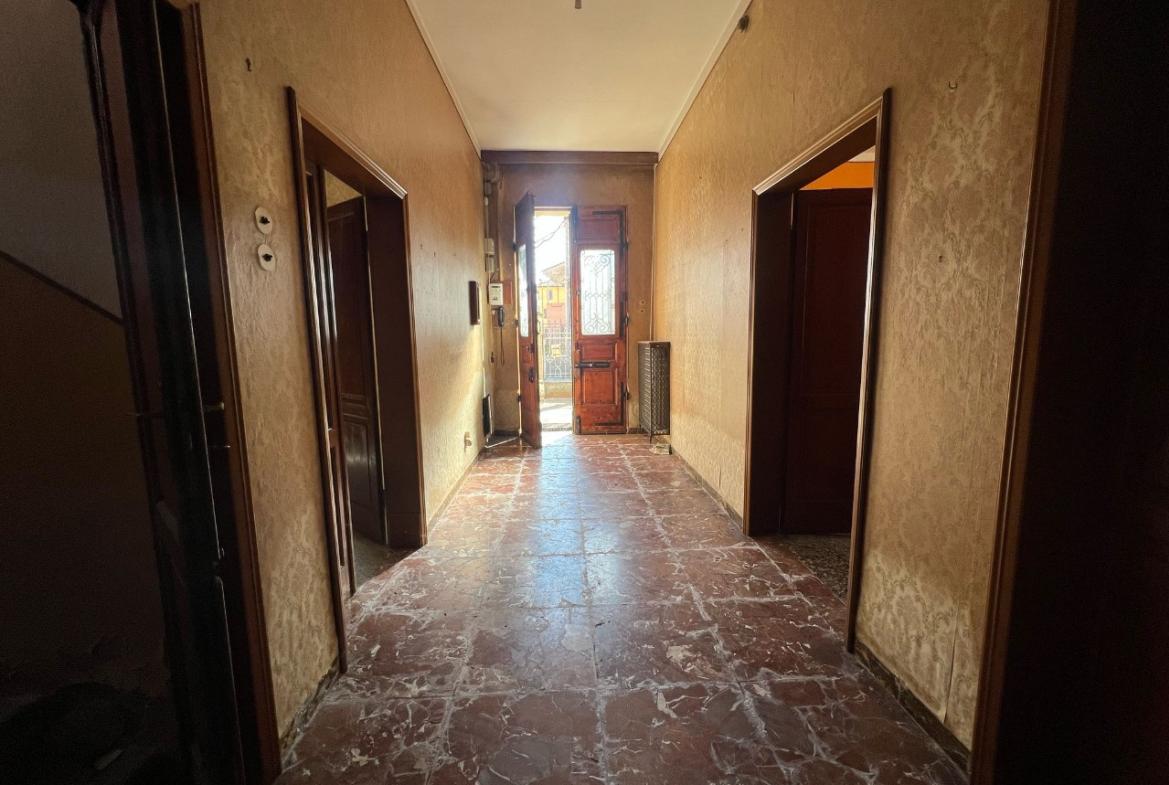 immagine annuncio 1 di 14