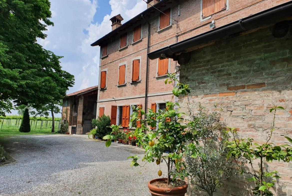 immagine annuncio 3 di 7