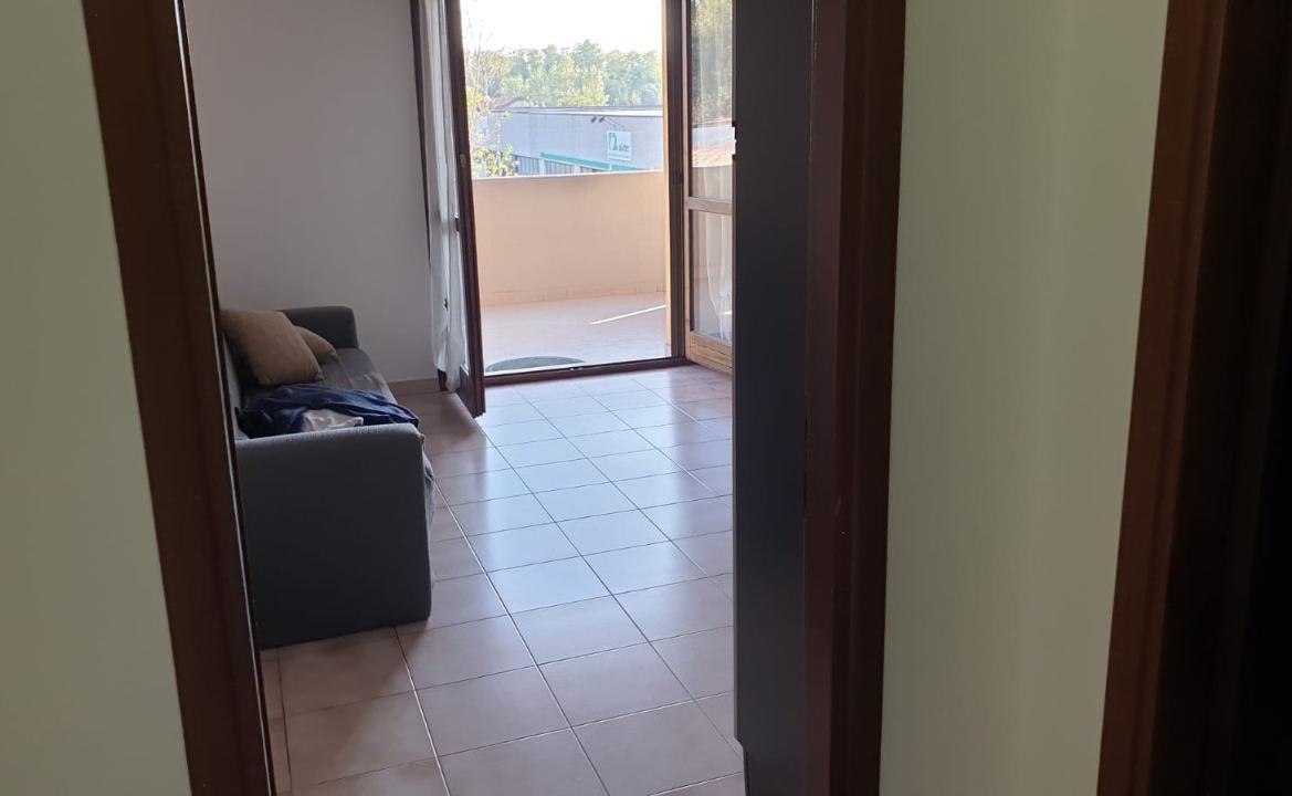 immagine annuncio 2 di 9