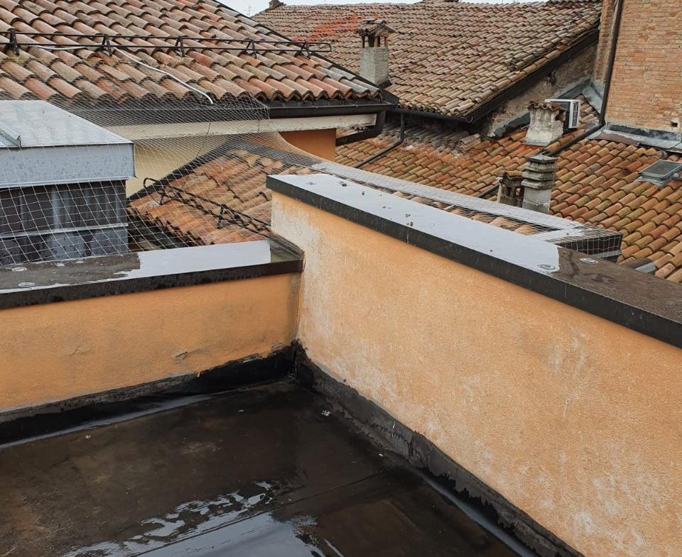 immagine annuncio 12 di 13