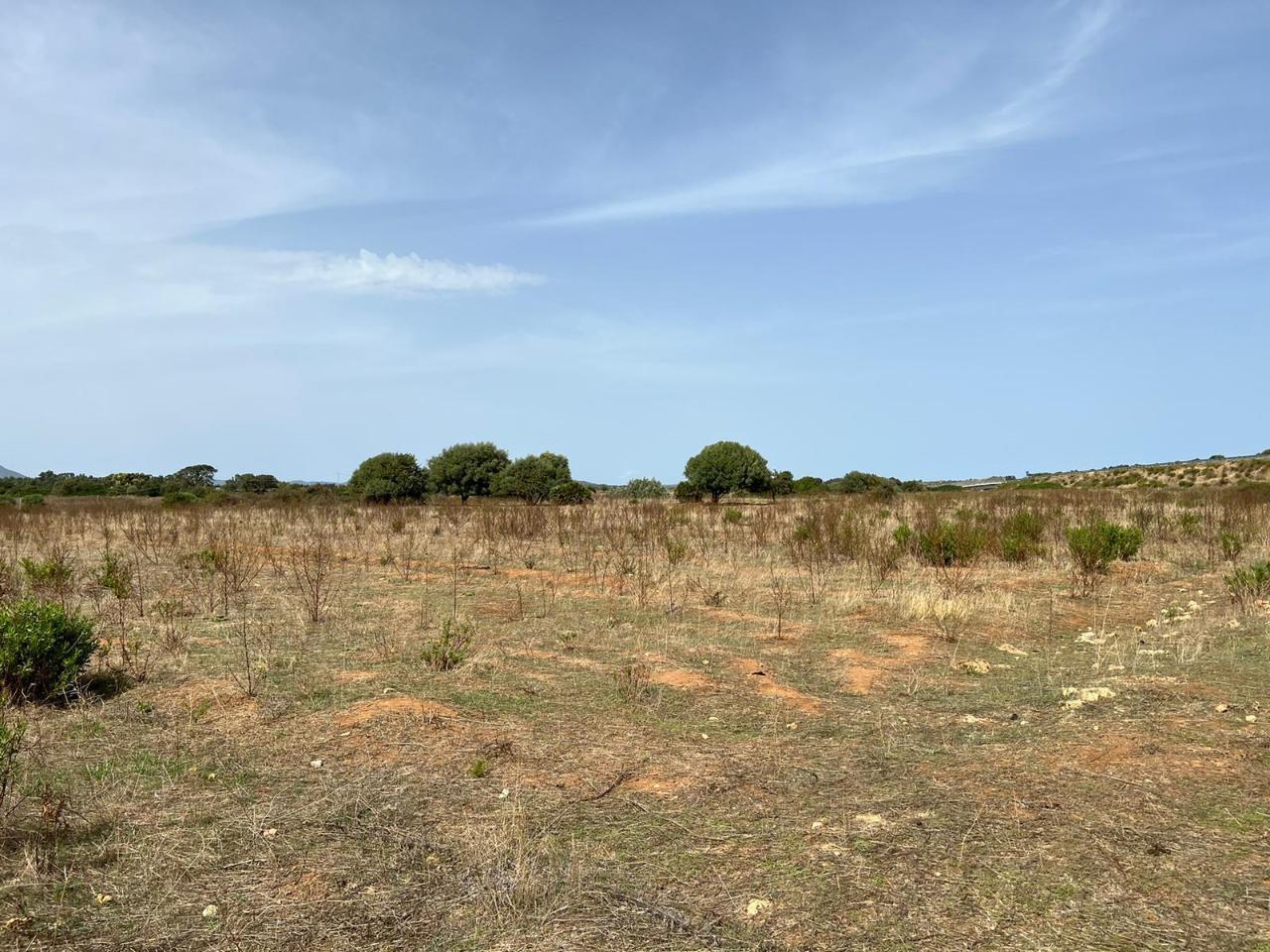Terreno edificabile in vendita a Alghero