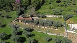 Terreno agricolo in vendita a Verona
