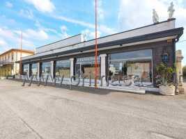 Azienda in Via Dossi 70, Sanguinetto, {3} - Foto 1
