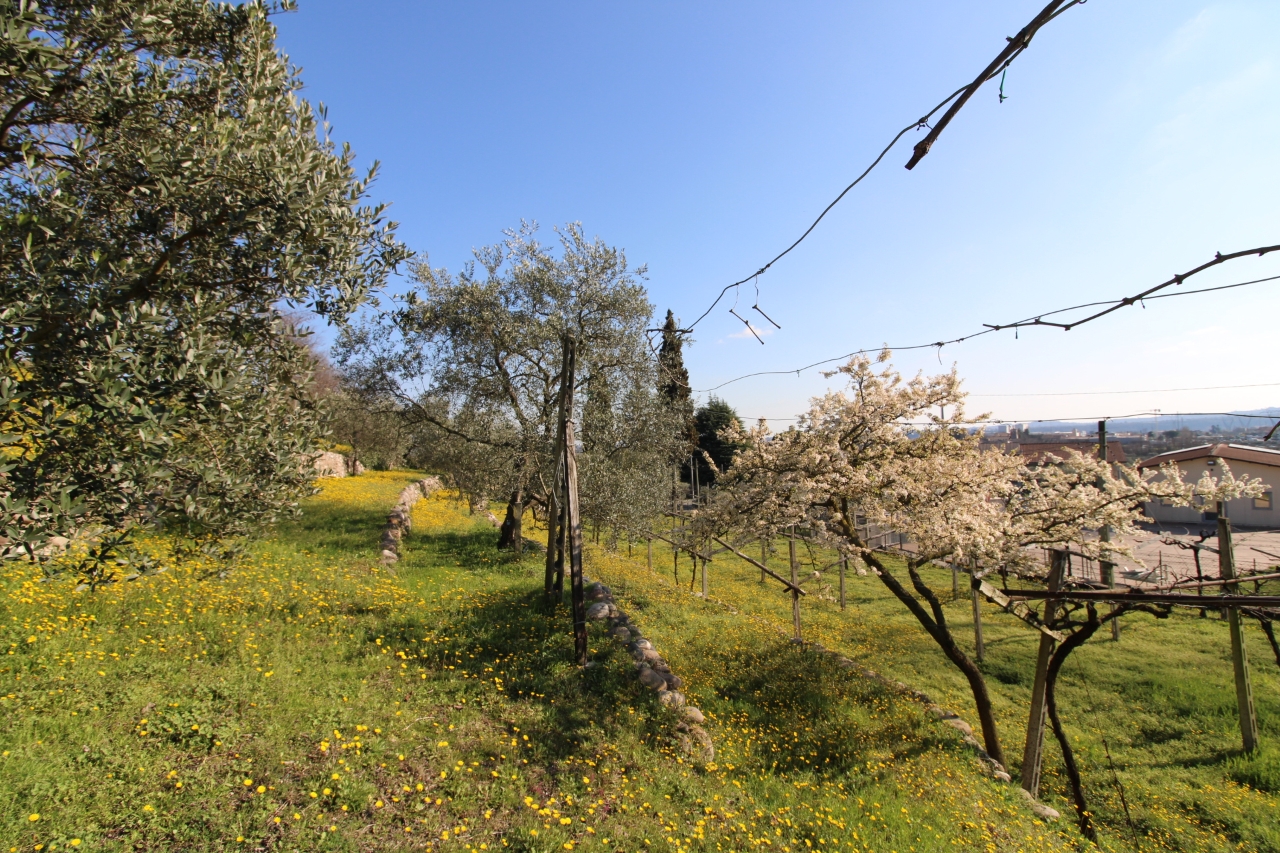 immagine annuncio 13 di 15