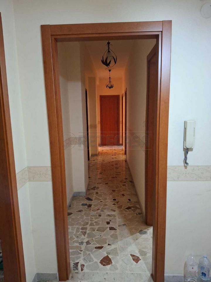 immagine annuncio 6 di 14