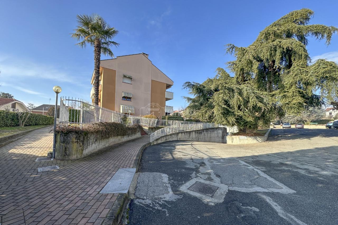 immagine annuncio 5 di 15