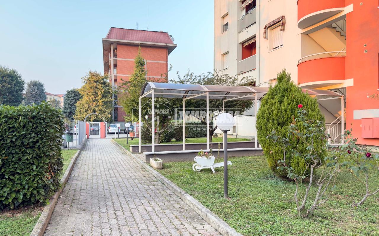 immagine annuncio 10 di 15