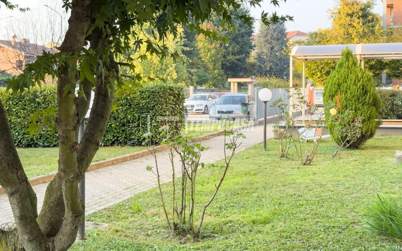 immagine annuncio 6 di 15