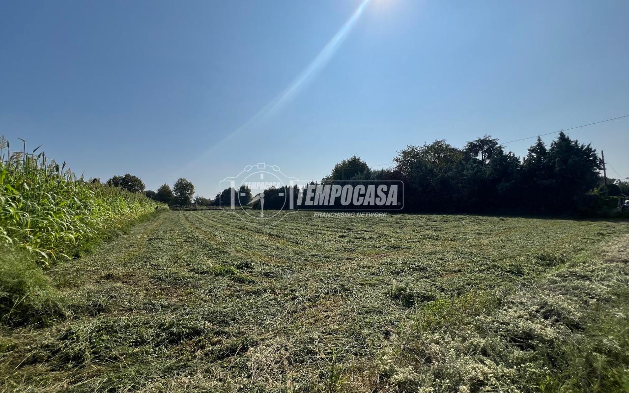 immagine annuncio 5 di 12