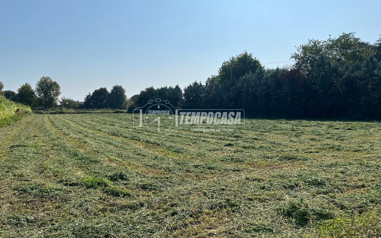 immagine annuncio 4 di 12