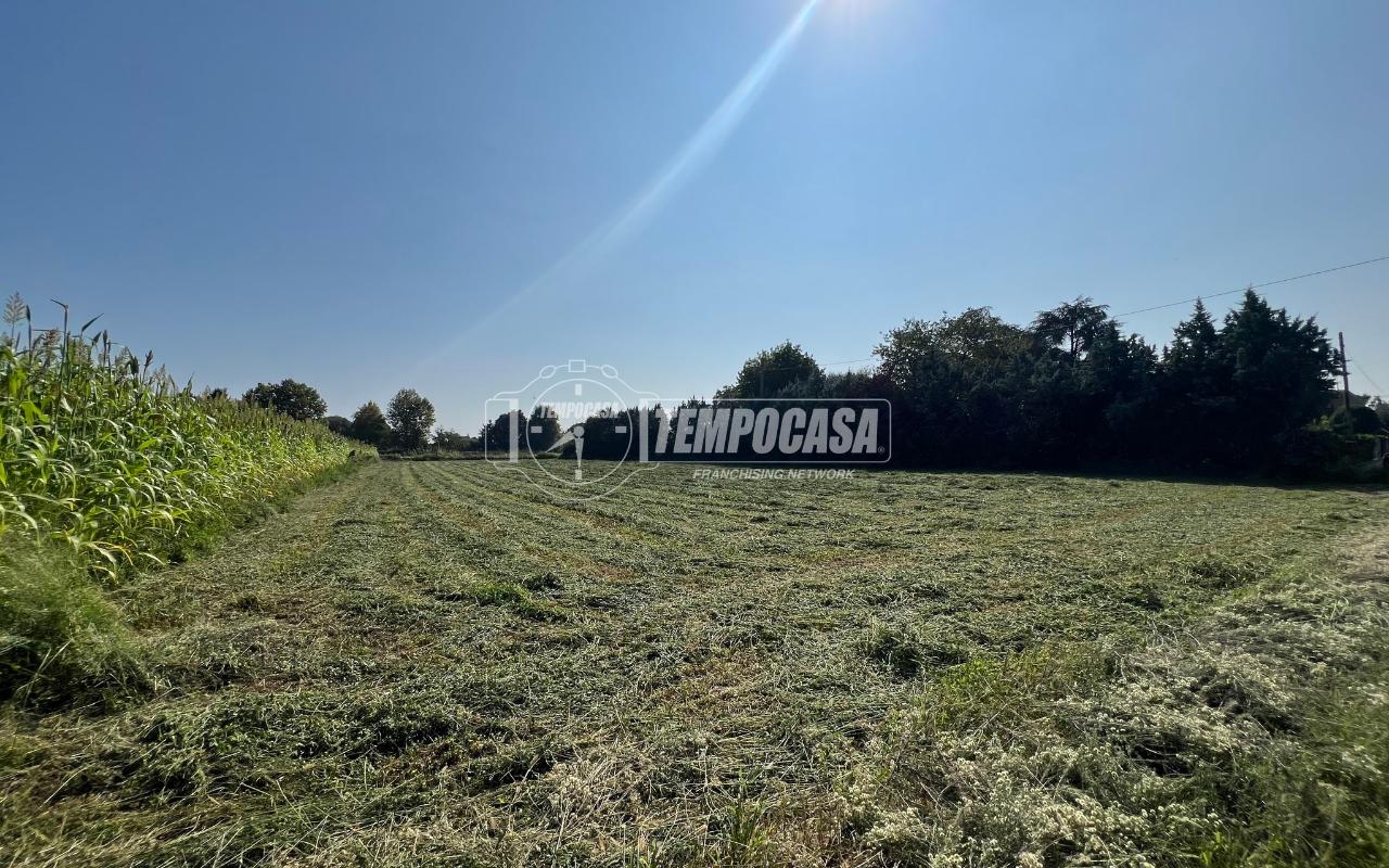 immagine annuncio 6 di 12